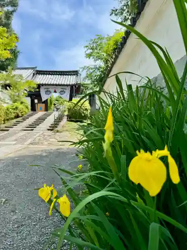 西来院(京都府)