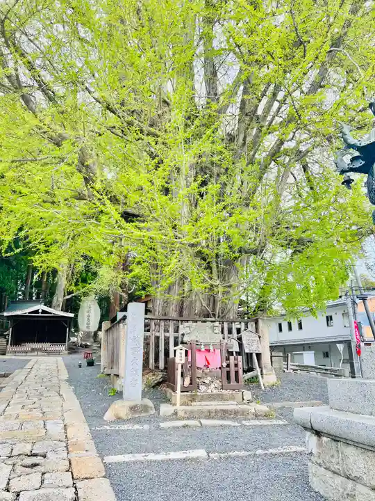 熊野大社(山形県)