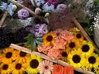 札幌護國神社の手水舎