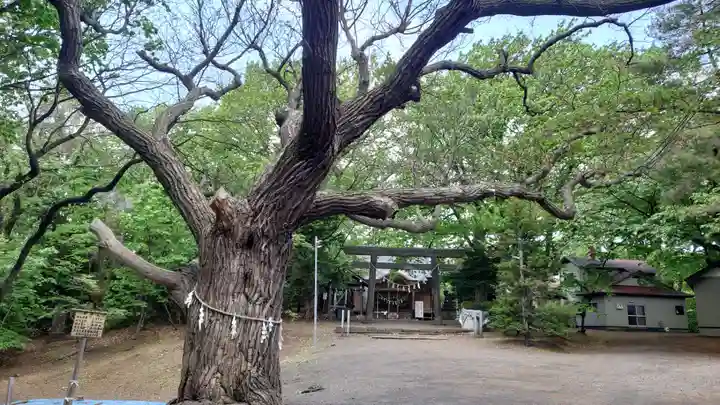 相馬神社(北海道)