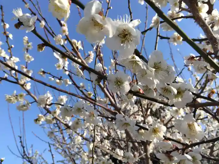 花乃丘神社(三重県)