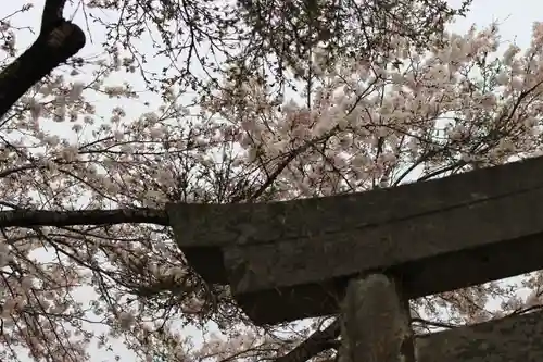 八幡宮の鳥居