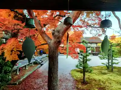 仁和寺(京都府)