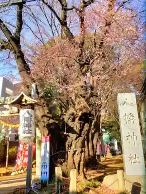 下高井戸八幡神社(東京都)
