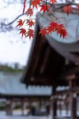 宗像大社(福岡県)