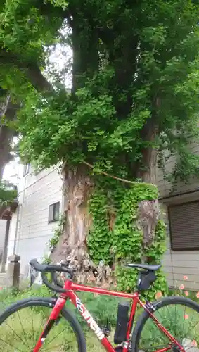 香取神社のその他建物