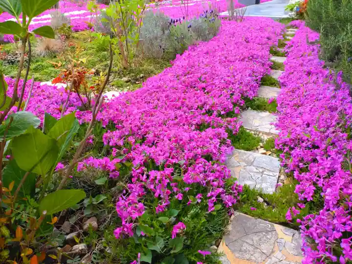 寿量山 速成寺の庭園