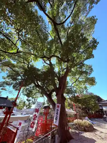 神戸水天宮(兵庫県)