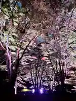 土津神社|こどもと出世の神さま(福島県)