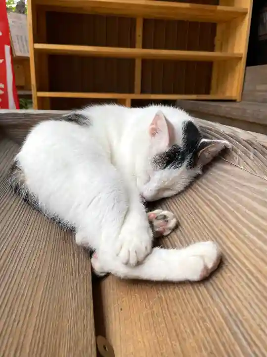 真野寺(千葉県)