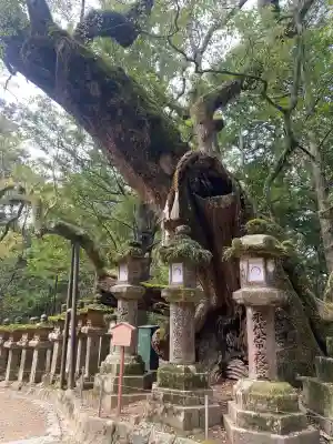 春日大社の{uncategorized: "未分類", other: "その他", undefined: "問題あり", building: "その他建物", grave: "お墓", sacred_gate: "鳥居", guardian: "狛犬", statue: "像", buddha: "仏像", history: "歴史", nature: "自然", garden: "庭園", animal: "動物", pagoda: "塔", temizu: "手水舎", mountain_gate: "山門・神門", sanctuary: "本殿・本堂", subordinate: "末社・摂社", art: "芸術", scenery: "景色", jizo: "地蔵", ema: "絵馬", goshuin: "御朱印", omikuji: "おみくじ", items: "授与品その他", amulet: "お守り", goshuincho: "御朱印帳", eats: "食事", festival: "お祭り", votive_dance: "神楽", shichigosan: "七五三参", wedding: "結婚式", experience: "体験その他", initially: "初詣", around: "周辺", anti_infection: "感染症対策"}