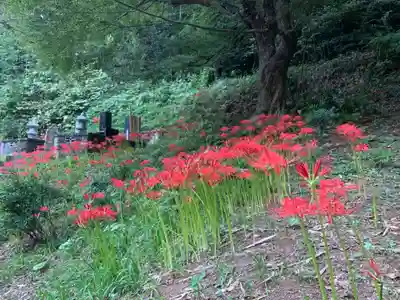 迎接寺(千葉県)