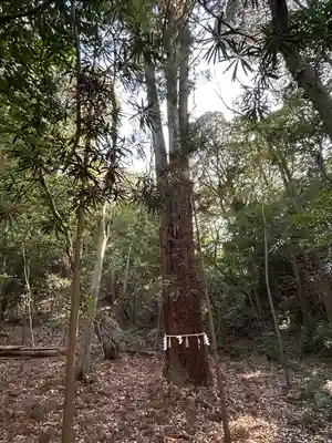 星田妙見宮(大阪府)