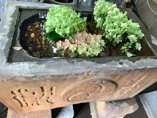 菊名神社の手水舎