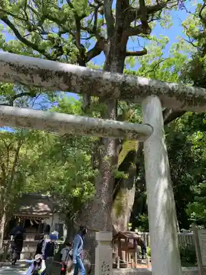 伊弉諾神宮のその他建物