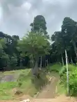 八坂神社の周辺