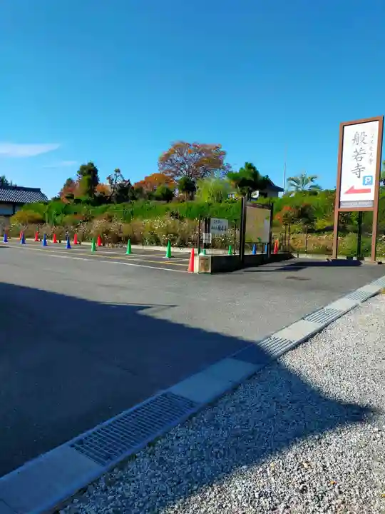 般若寺 ❁コスモス寺❁(奈良県)