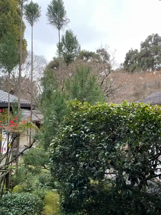 龍安寺(京都府)