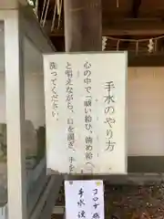 新熊野神社の建物その他