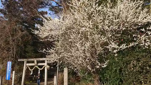 星宮神社の自然