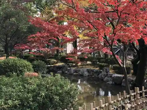 豊國神社の庭園