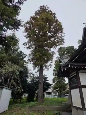 甲神社(神奈川県)