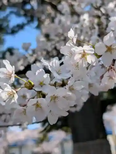 日高神社の{uncategorized: "未分類", other: "その他", undefined: "問題あり", building: "その他建物", grave: "お墓", sacred_gate: "鳥居", guardian: "狛犬", statue: "像", buddha: "仏像", history: "歴史", nature: "自然", garden: "庭園", animal: "動物", pagoda: "塔", temizu: "手水舎", mountain_gate: "山門・神門", sanctuary: "本殿・本堂", subordinate: "末社・摂社", art: "芸術", scenery: "景色", jizo: "地蔵", ema: "絵馬", goshuin: "御朱印", omikuji: "おみくじ", items: "授与品その他", amulet: "お守り", goshuincho: "御朱印帳", eats: "食事", festival: "お祭り", votive_dance: "神楽", shichigosan: "七五三参", wedding: "結婚式", experience: "体験その他", initially: "初詣", around: "周辺", anti_infection: "感染症対策"}