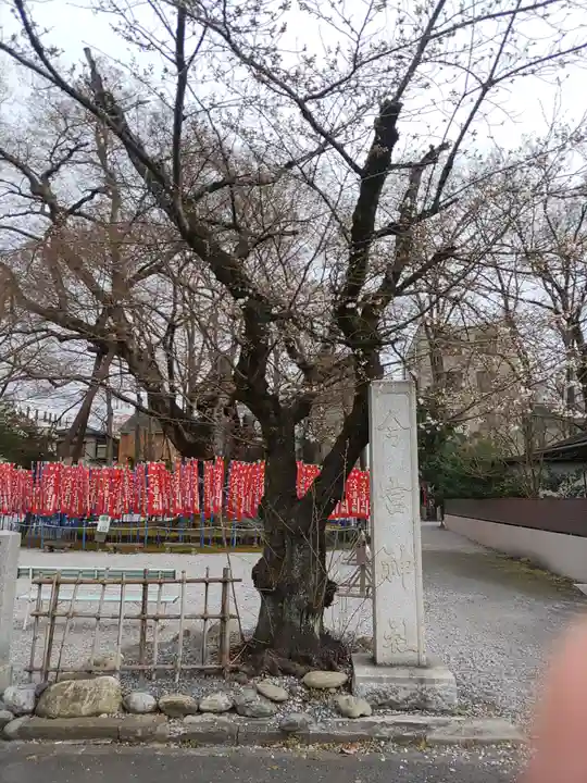 秩父今宮神社(埼玉県)