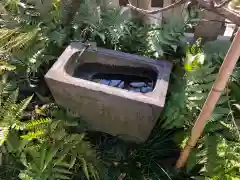  六本木天祖神社の手水