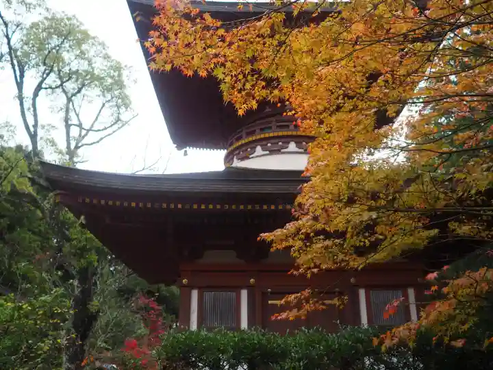 円成寺の{uncategorized: "未分類", other: "その他", undefined: "問題あり", building: "その他建物", grave: "お墓", sacred_gate: "鳥居", guardian: "狛犬", statue: "像", buddha: "仏像", history: "歴史", nature: "自然", garden: "庭園", animal: "動物", pagoda: "塔", temizu: "手水舎", mountain_gate: "山門・神門", sanctuary: "本殿・本堂", subordinate: "末社・摂社", art: "芸術", scenery: "景色", jizo: "地蔵", ema: "絵馬", goshuin: "御朱印", omikuji: "おみくじ", items: "授与品その他", amulet: "お守り", goshuincho: "御朱印帳", eats: "食事", festival: "お祭り", votive_dance: "神楽", shichigosan: "七五三参", wedding: "結婚式", experience: "体験その他", initially: "初詣", around: "周辺", anti_infection: "感染症対策"}