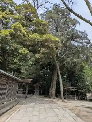 越ヶ谷久伊豆神社(埼玉県)