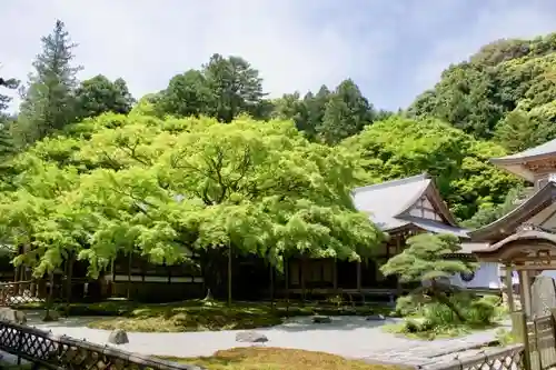 千如寺大悲王院の庭園