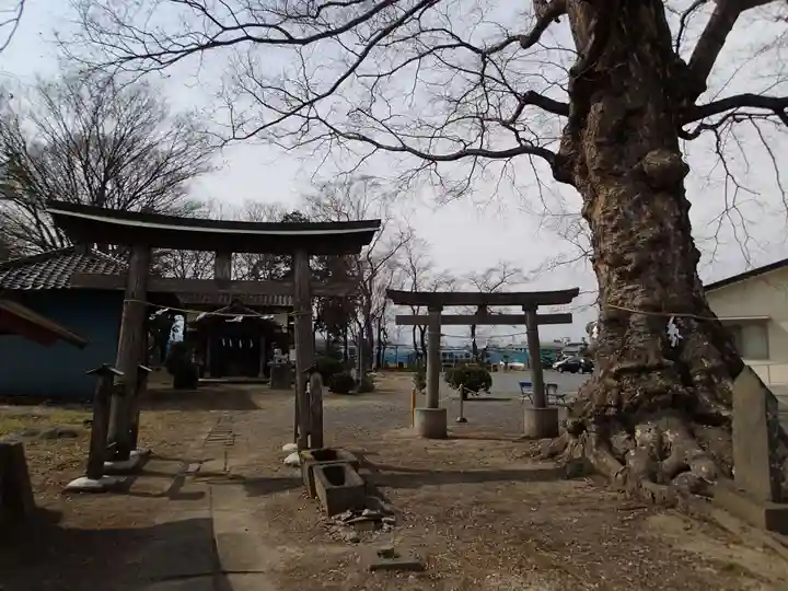 阿保神社の鳥居