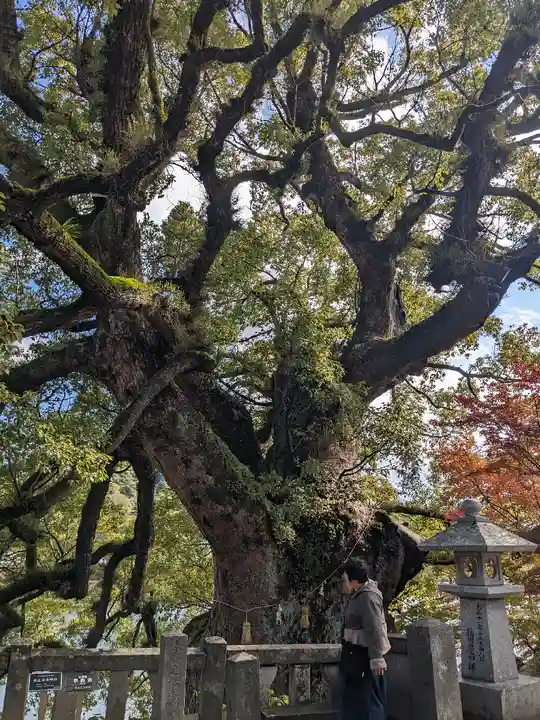與止日女神社(佐賀県)