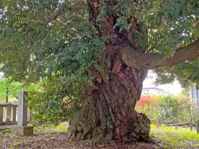 一之宮貫前神社(群馬県)
