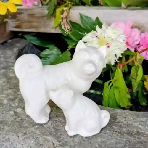 彌彦神社　(伊夜日子神社)(北海道)