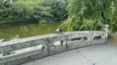 三嶋大社(静岡県)