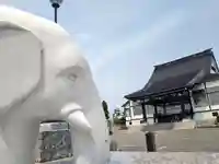 雨竜 専福寺(北海道)