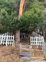 古峠の庚申塚(塔)の{uncategorized: "未分類", other: "その他", undefined: "問題あり", building: "その他建物", grave: "お墓", sacred_gate: "鳥居", guardian: "狛犬", statue: "像", buddha: "仏像", history: "歴史", nature: "自然", garden: "庭園", animal: "動物", pagoda: "塔", temizu: "手水舎", mountain_gate: "山門・神門", sanctuary: "本殿・本堂", subordinate: "末社・摂社", art: "芸術", scenery: "景色", jizo: "地蔵", ema: "絵馬", goshuin: "御朱印", omikuji: "おみくじ", items: "授与品その他", amulet: "お守り", goshuincho: "御朱印帳", eats: "食事", festival: "お祭り", votive_dance: "神楽", shichigosan: "七五三参", wedding: "結婚式", experience: "体験その他", initially: "初詣", around: "周辺", anti_infection: "感染症対策"}