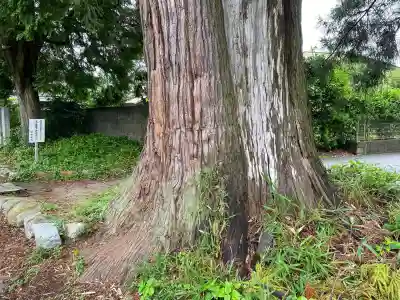 朝倉神社(高知県)