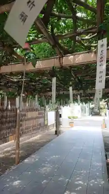 金蛇水神社(宮城県)