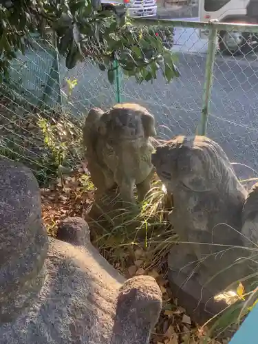 稲荷神社の狛犬