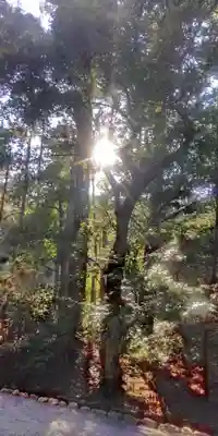 伊勢神宮外宮（豊受大神宮）(三重県)