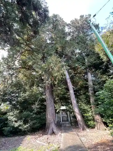山神神社（南濃町駒野）(岐阜県)