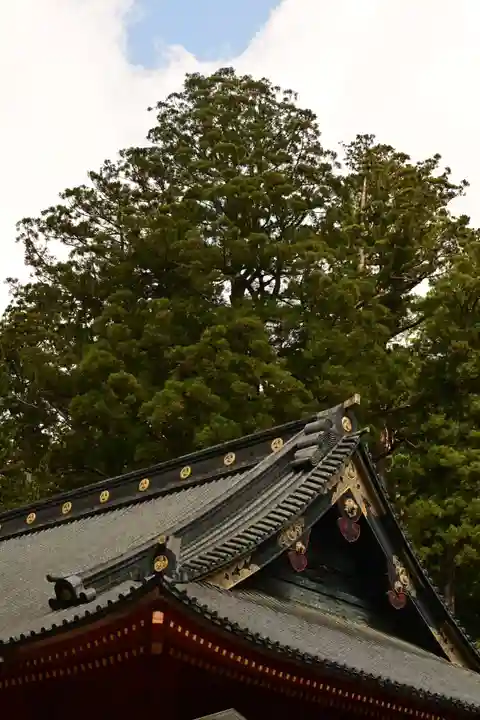 日光二荒山神社(栃木県)