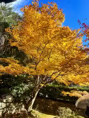 安楽寺(京都府)