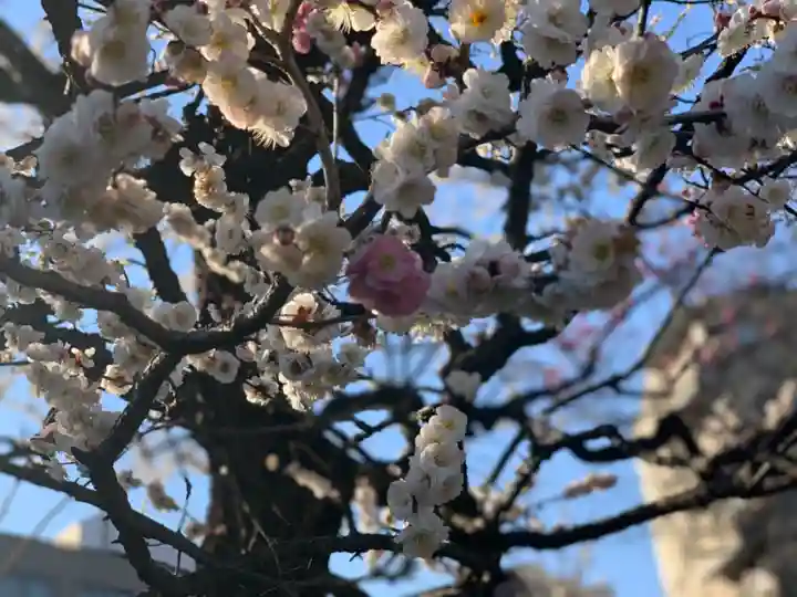 薭田神社の自然