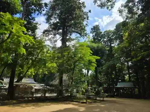 小御門神社(千葉県)