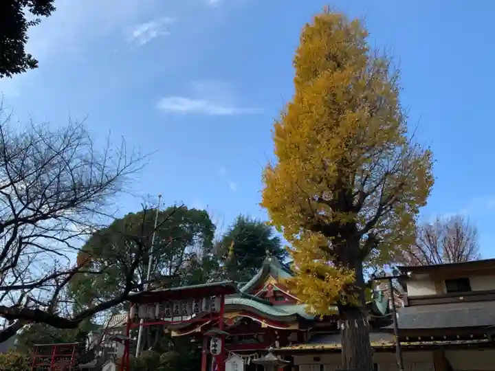 居木神社の自然