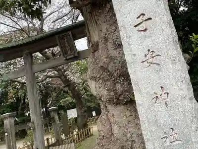 畑子安神社の鳥居
